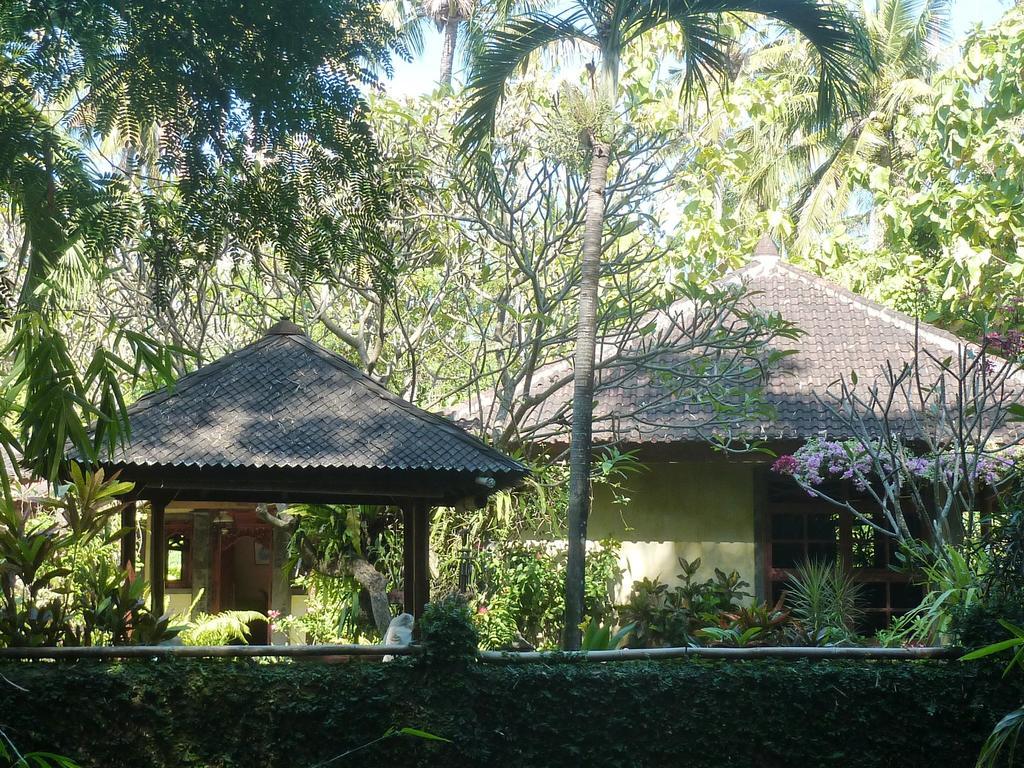 Saraswati Holiday House 러비나 외부 사진